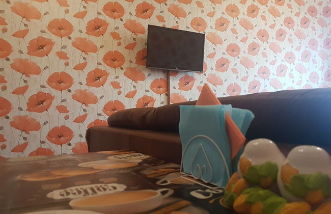 Zhukovsky apartment - Foto 11