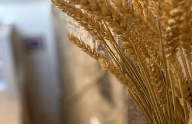 Foundry Cottage - Foto 27