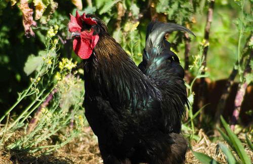 Spreebogenhof - Foto 10