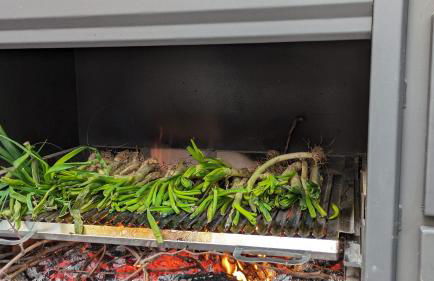 El Niu de Claravalls - Foto 26