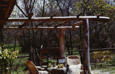 Las Casas del Palomar I & II - Photo 49