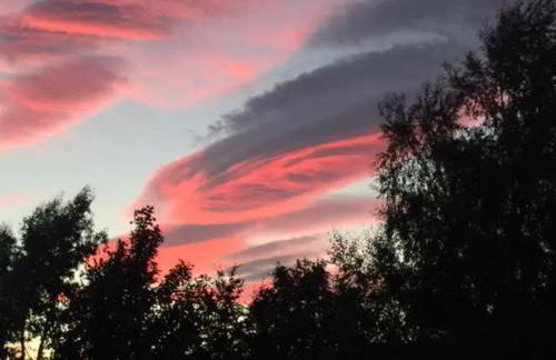 Home Comforts in Peaceful 2 Acres - Photo 54