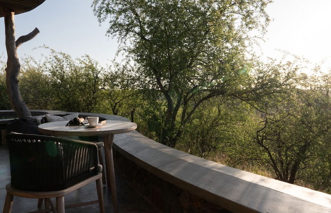 Euphorbia Mashatu - Foto 11