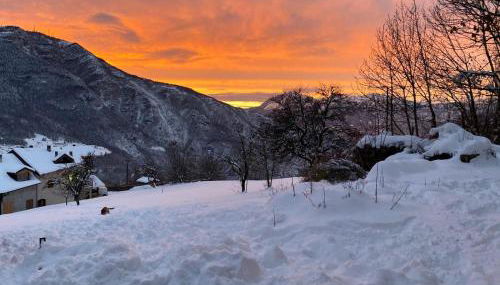 Maso K - Il Gufo Dorato - Foto 3