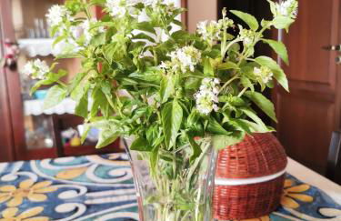 ZAGARA appartamenti - Foto 32