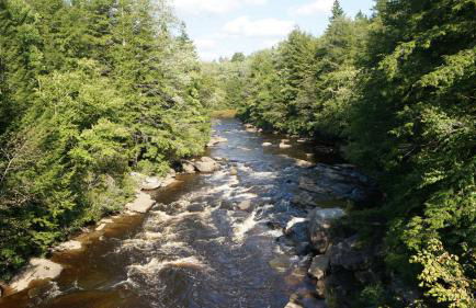 Panorama Point - Sauna, hot tub, theater room - Photo 67