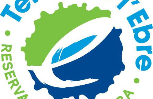 Apartament Dertosa - Foto 37