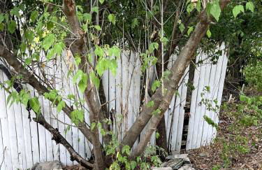 Bright, Airy Home in Hudson! - Foto 17