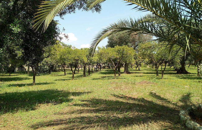 Agriturismo Villa Coluccia - Foto 54