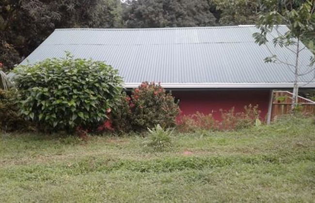 Drake Lapas - Foto 31