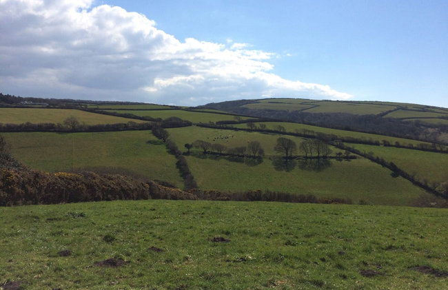 Anneth Lowen - Dog-friendly Cottage Boscastle - Foto 35