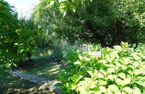 The Cottage in the Trees - Foto 29