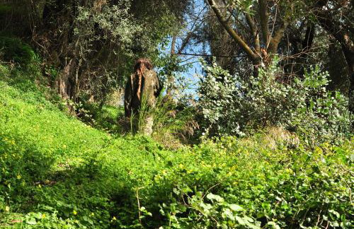 Traditional House Utopia in Pefki, Makry Gialos - Foto 28