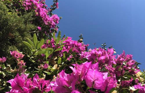 A Panoramic Retreat - Unità 5 - Foto 32