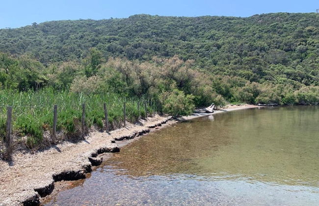 Villa in Gaou With Sea View and Beach - Foto 23