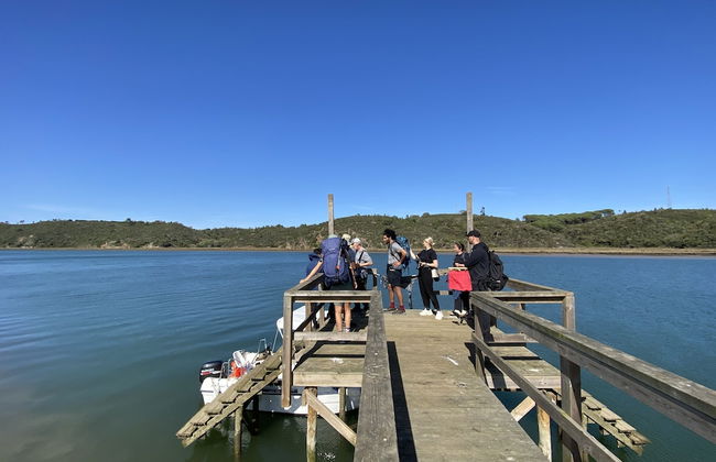 Monte do Zambujeiro - Foto 78