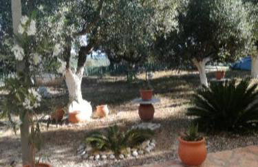 Sunny holiday home - Foto 15