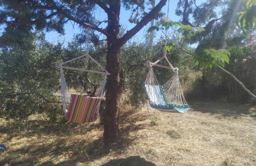Real Holidays Antoniadou - Rustic House - Foto 56