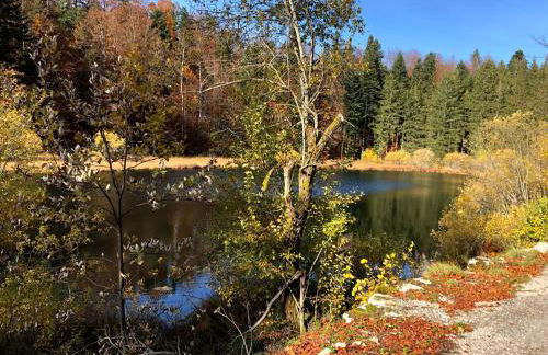 Gîte comme à la maison -12 pers- La Cabiote - Foto 7