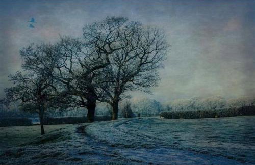 'Mill Cottage' Parbold - Foto 15