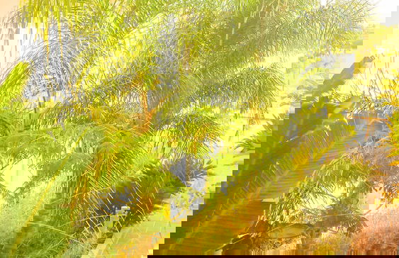 Apartamento Valle Romano - Foto 19