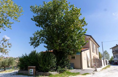 Bio Fattoria Mula D'Oro - biofattoriamuladoro it - Organic Food, Nature & Relax - Foto 26