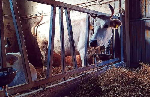 Agriturismo L'Essiccatoio - Foto 26