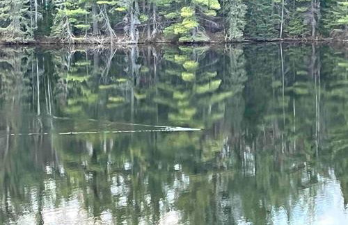 Wolf Pond 1 - 3 Miles to Lake Placid NY - Foto 10