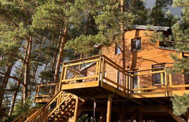 ForRest House Domki na drzewie niedaleko Suntago - Photo 6