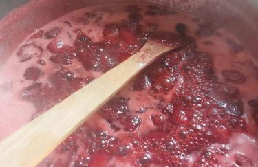 Gîte des Graves de Lilou - Foto 27