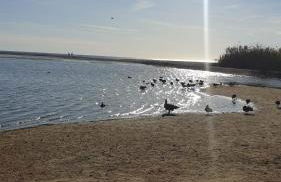 MI COSTA VERA-PLAYA 200m, dos balcones hermosa vista! - Foto 17