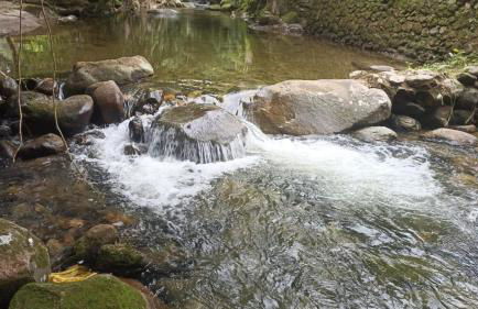 Chácara Belas Águas - Foto 60