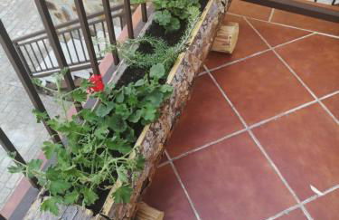 Alojamiento Rural Los Gancheros - Foto 23