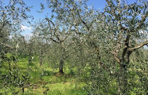 Mansion with Pool and play area - Foto 31