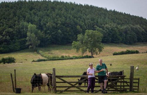 Experience the Peace & Quiet in the North York Moors at Rawcliffe House Farm - Foto 10