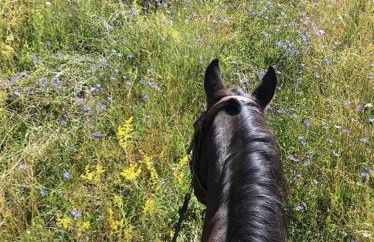 Ferienwohnung Schwabenhof - Foto 10