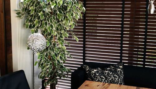 Ferienhaus Taubergießen - Foto 4