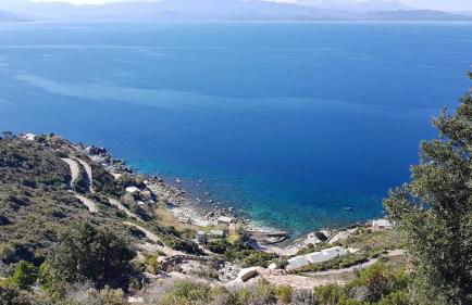 LOCATION CORSE - Foto 16