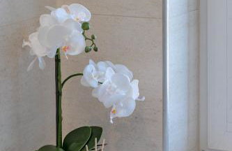 Palomar Luxury Apartment Split - Photo 27