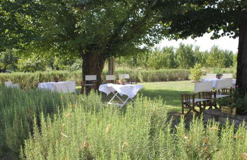 Agriturismo Corte Carezzabella - Foto 57