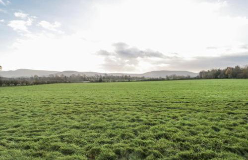 Honeysuckle Hut, Potto Grange Farm - Foto 15