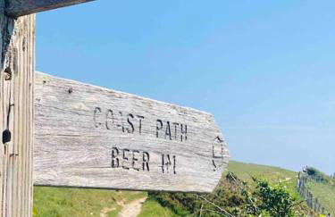 Escape Pod in Devon, 5 mins from beach + parking - Foto 14