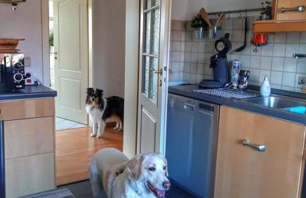 Hillis Ferienwohnung Saarland - Foto 25