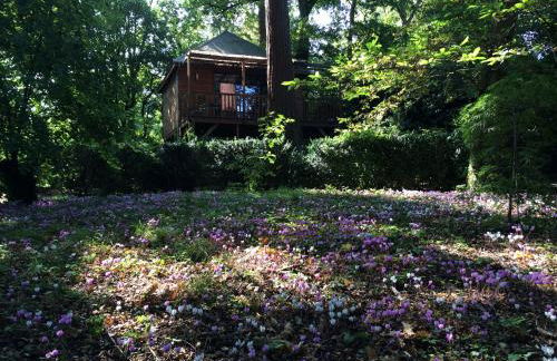 Cabane avec Jacuzzi privatif du Manoir du Parc - Adults only - Foto 22