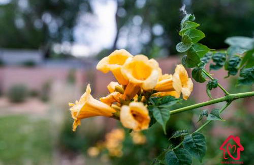 Bosque Retreat on the Rio - Single Story - 4 Kings - Foto 21