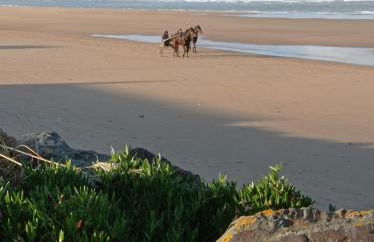 Gite La Hulotte - Foto 22