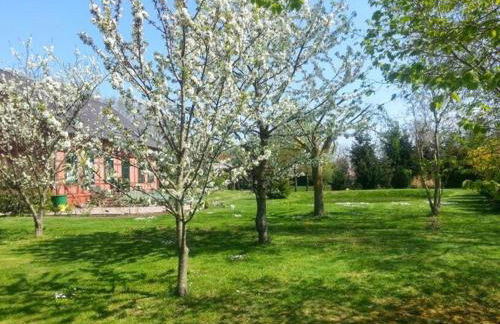 Idyllic Home Between Fields And Elbe Dyke - Photo 14