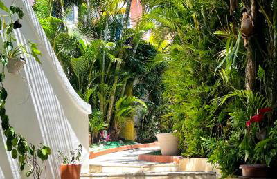 Luah Buziana - Foto 9