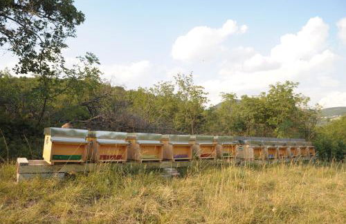 Agriturismo Sol De Montalto - Photo 43