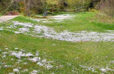 Robinson's Cottages - Foto 21